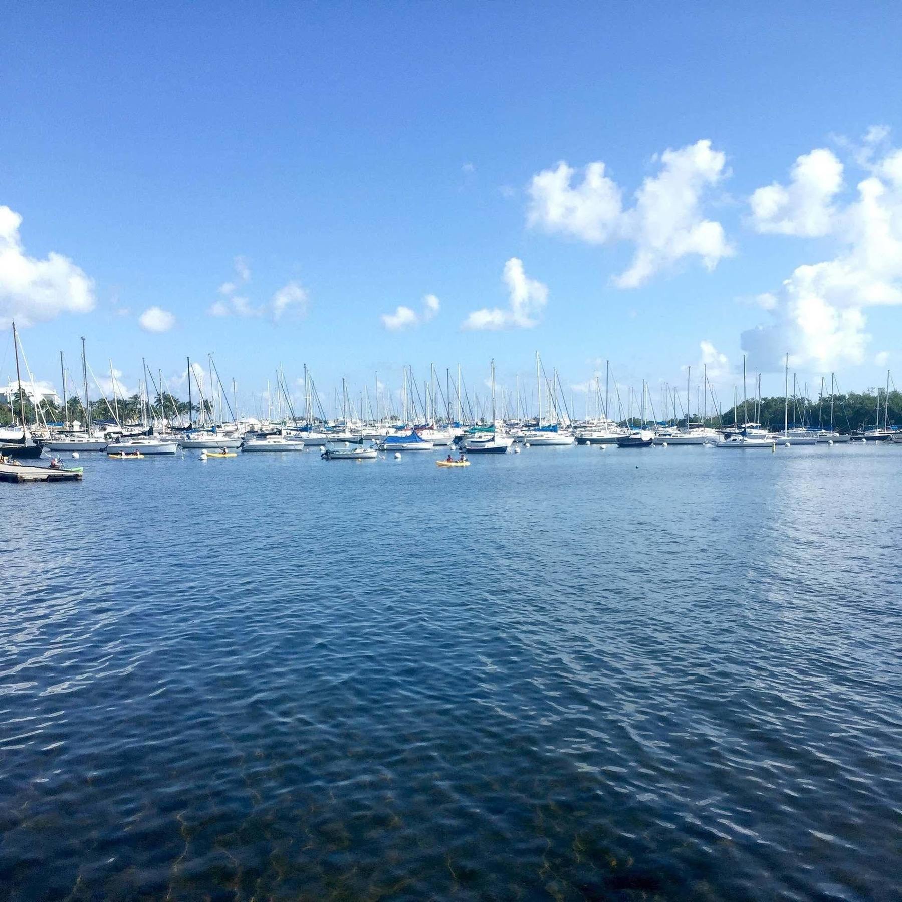 Pelicanstay In Coconut Grove Miami Coral Gables Zewnętrze zdjęcie